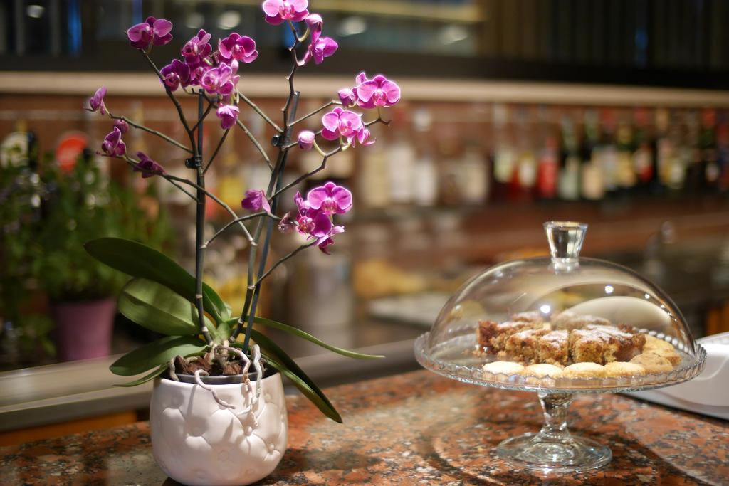 Hotel Colorado 4*